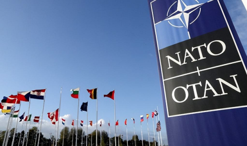NATO  8  ǥ  13~ 15ϱ 