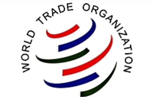  ,ȣֿ "öǰ ݴ " WTO ￡ ¼